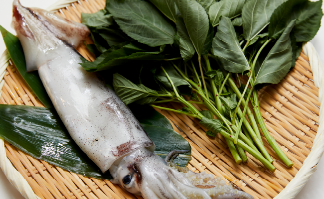 画像：スルメイカ と モロヘイヤ