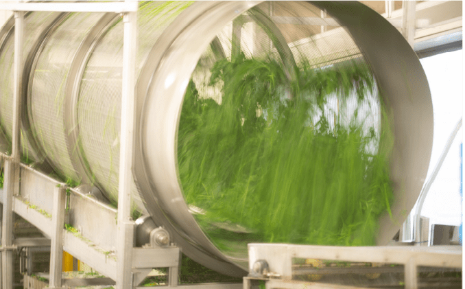 ドラム選別画像