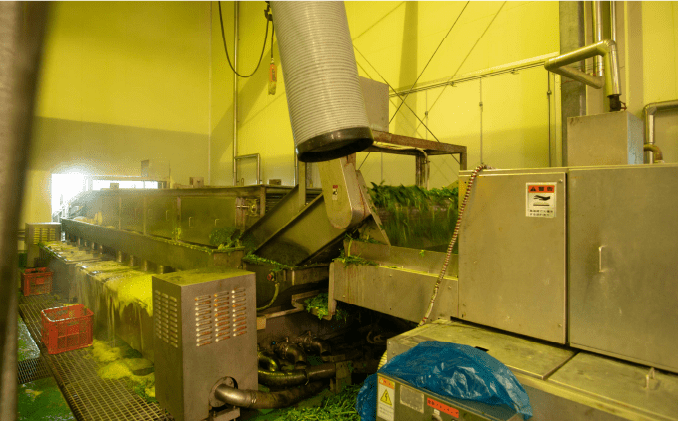 ブランチング(加熱処理)画像