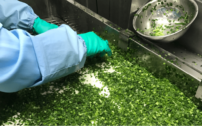 選別・下ごしらえ画像