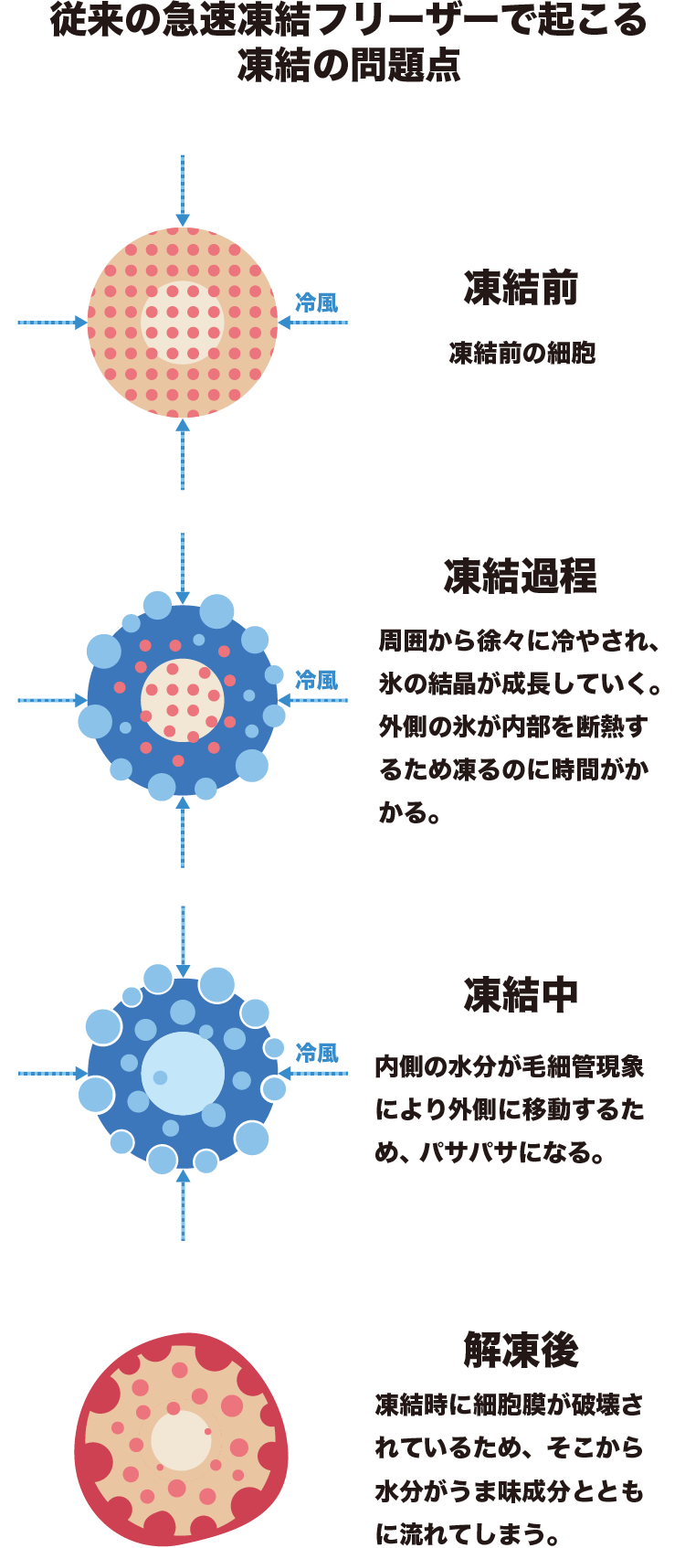 図:従来の急速凍結フリーザーで起こる凍結の問題点