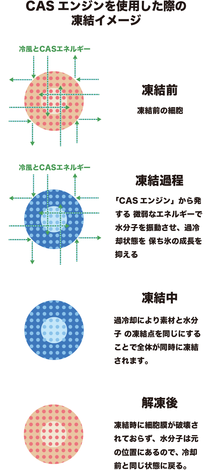 CASエンジンを使用した際の凍結イメージ