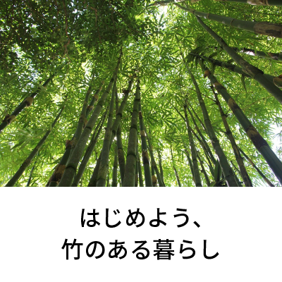 2021年3月号 はじめよう、竹のある暮らし