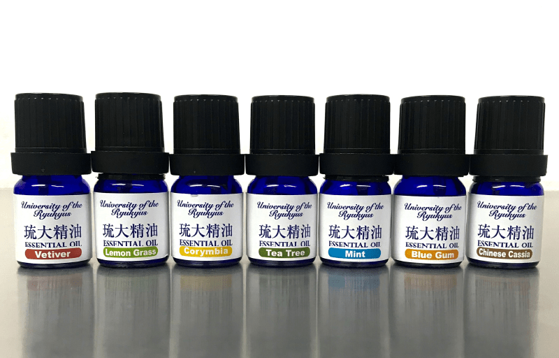 大学連載02画像