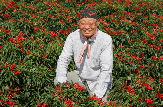 プロフィール写真