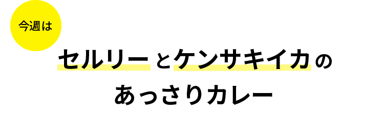 セルリーとケンサキイカのあっさりカレー