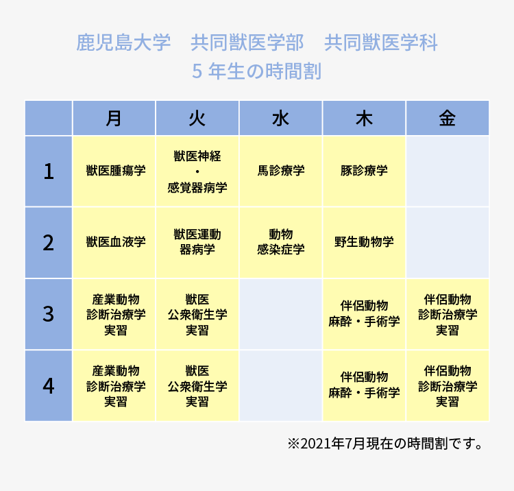 鹿児島大学 共同獣医学科 5年生の時間割