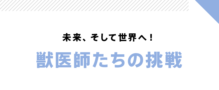 未来、そして世界へ!獣医師たちの挑戦