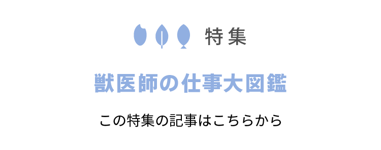 獣医師の仕事大図鑑