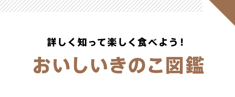 詳しく知って楽しく食べよう!おいしいきのこ図鑑