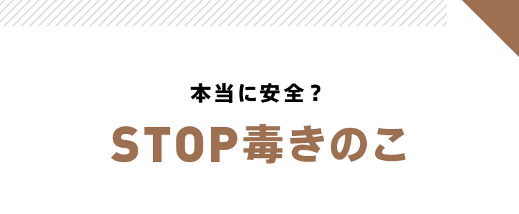 もう一度確認しよう!STOP毒きのこ