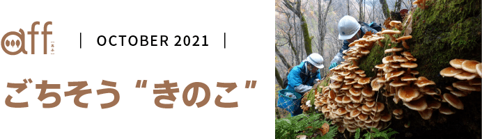 ごちそう “きのこ”