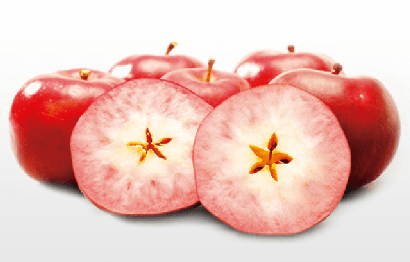 大学連載02画像