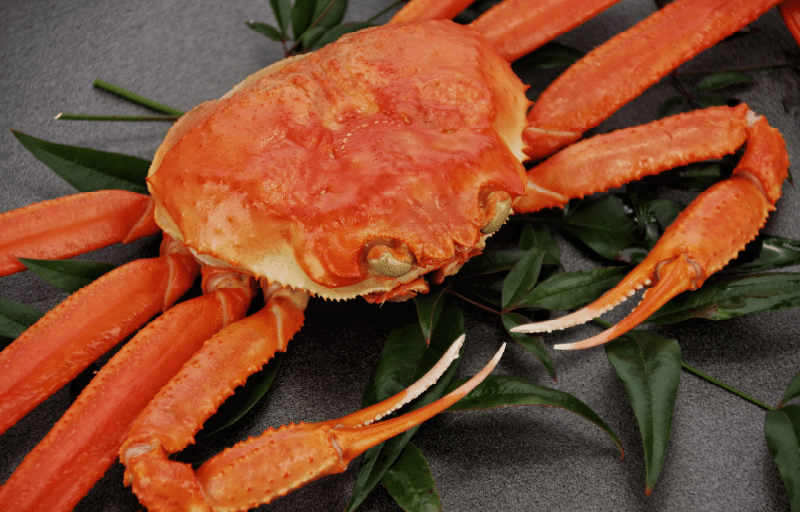 大学連載01画像