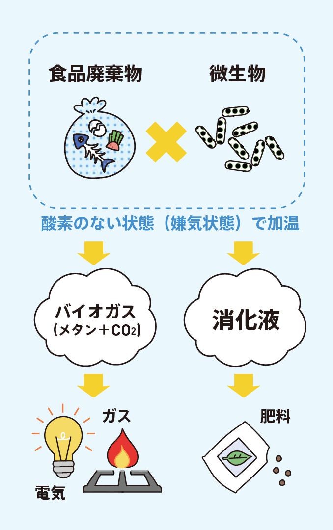 イラスト:メタン発酵のプロセス