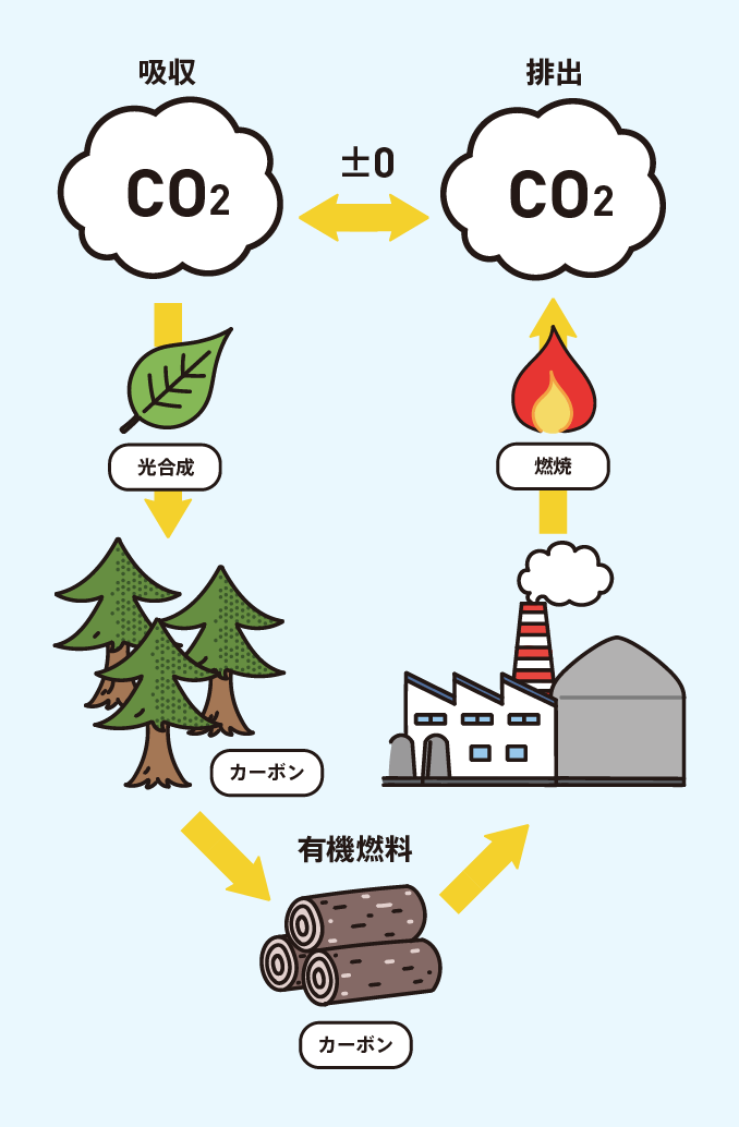イラスト:バイオマスのライフサイクル