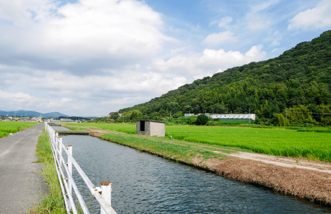 農業用水路