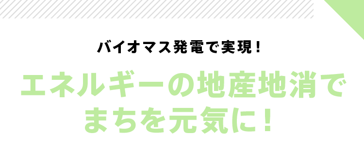 バイオマス発電で実現!エネルギーの地産地消でまちを元気に!