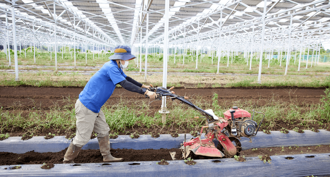営農型太陽光発電イメージ