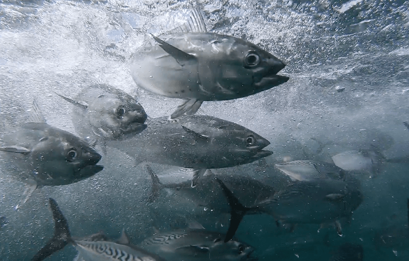 大学連載02画像