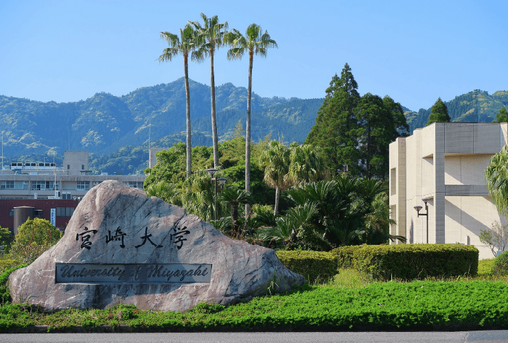 画像：大学外観