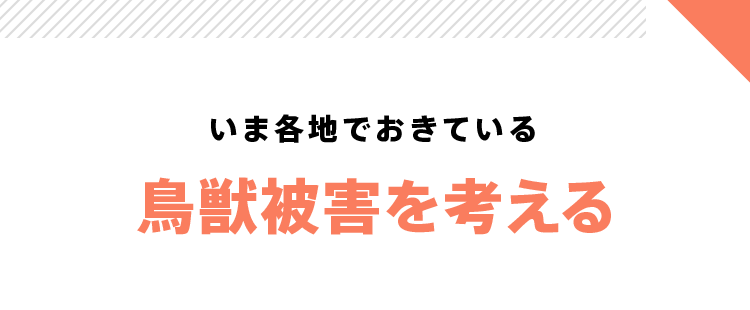 いま各地でおきている鳥獣被害を考える