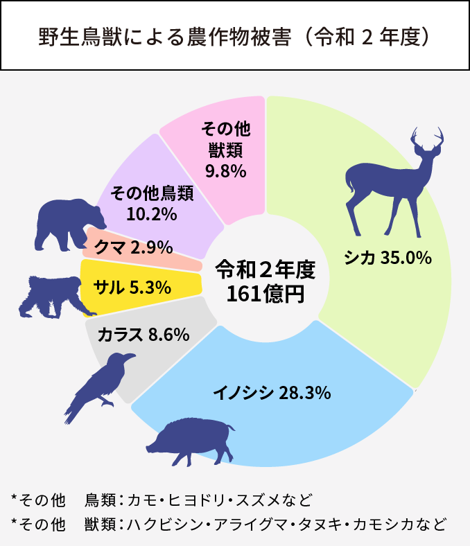 グラフ:野生鳥獣による農作物被害(令和2年度)