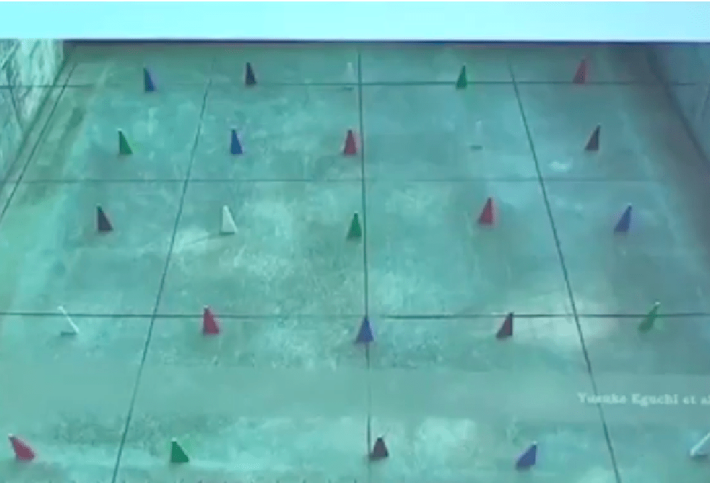 4色のコーンの画像