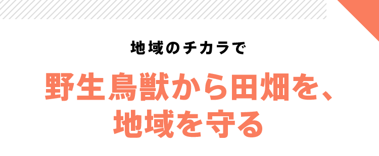 地域のチカラで野生鳥獣から田畑を、地域を守る