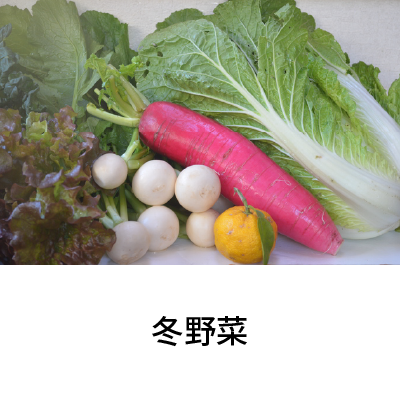 2019年12月号 冬野菜