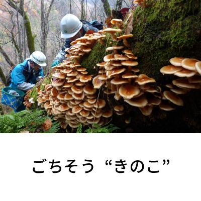 2021年10月号 ごちそう“きのこ”