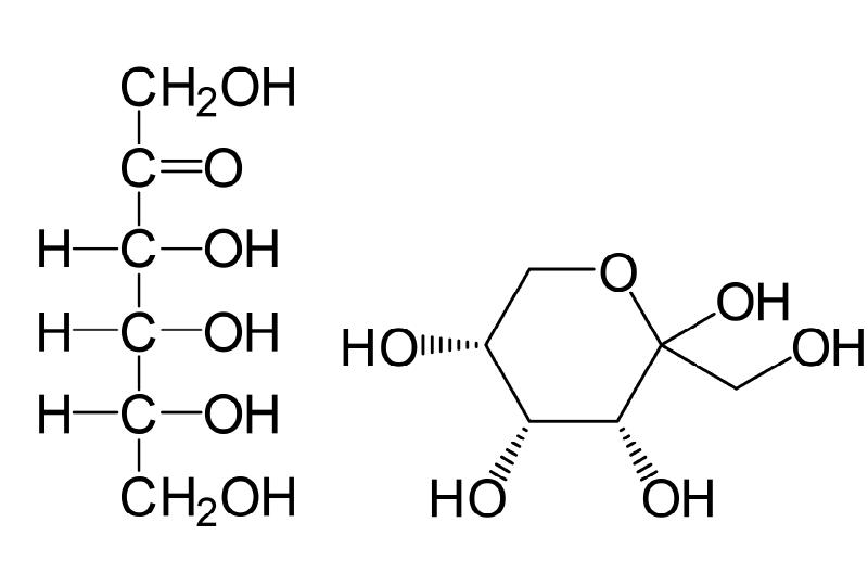 画像：D-プシコースのイメージ