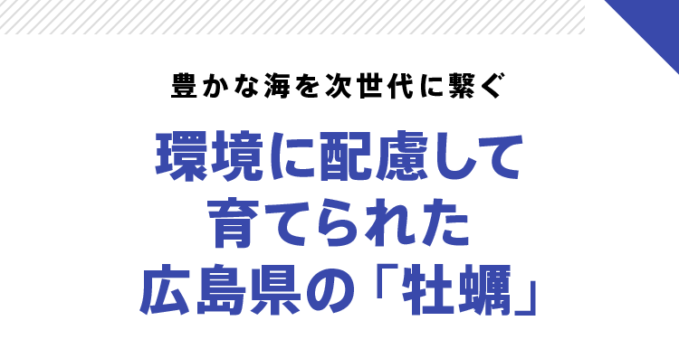 豊かな海を次世代に繋ぐ 環境に配慮して育てられた広島県の「牡蠣」