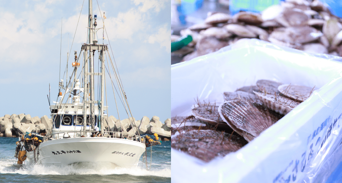 ほたて漁船とほたて