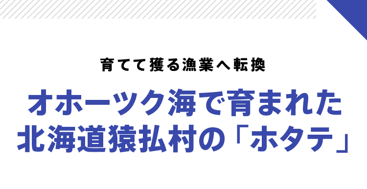 育てて獲る漁業へ転換 オホーツク海で育まれた北海道猿払村の「ホタテ」