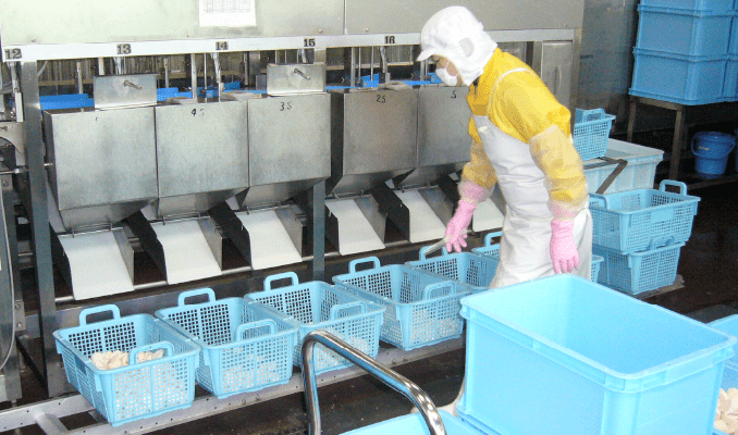 画像：回転式の選別器でサイズを分ける。