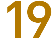 19
