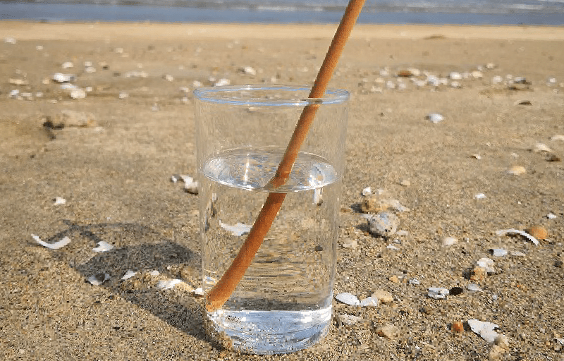 大学連載02画像