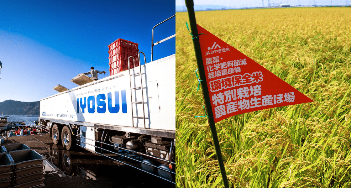 写真:輸出イメージ