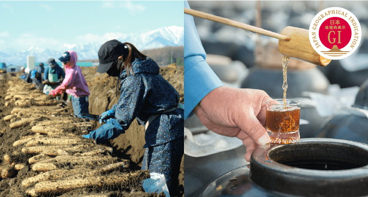 「十勝川西長いも」と「鹿児島の壺造り黒酢」の画像