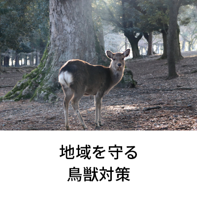 2022年1月号 地域を守る鳥獣対策