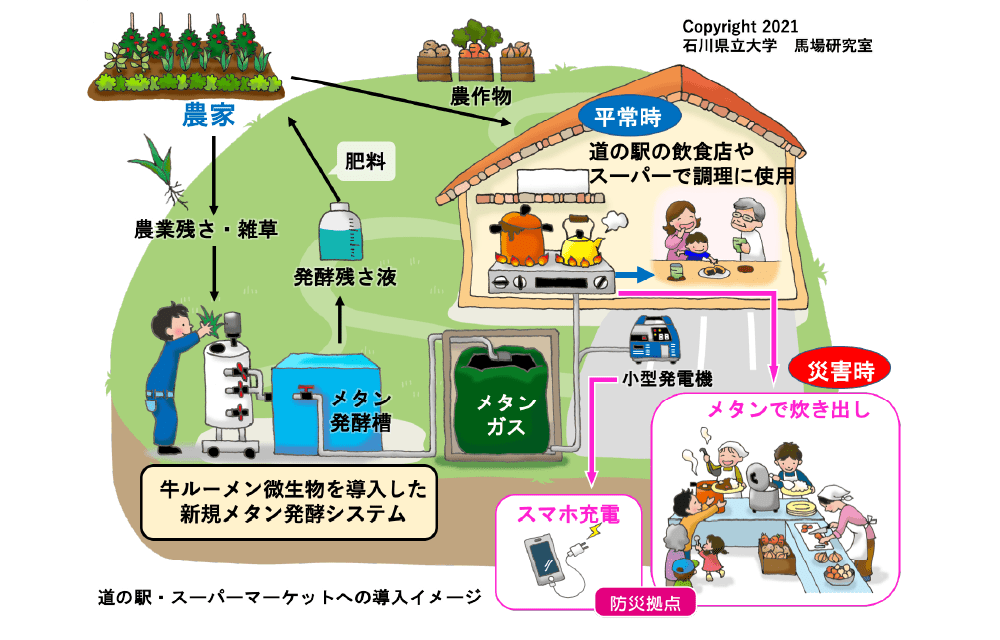 道の駅・スーパーマーケットへの導入イメージ