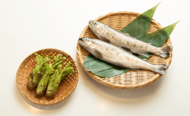 画像：たらの芽とアマゴ