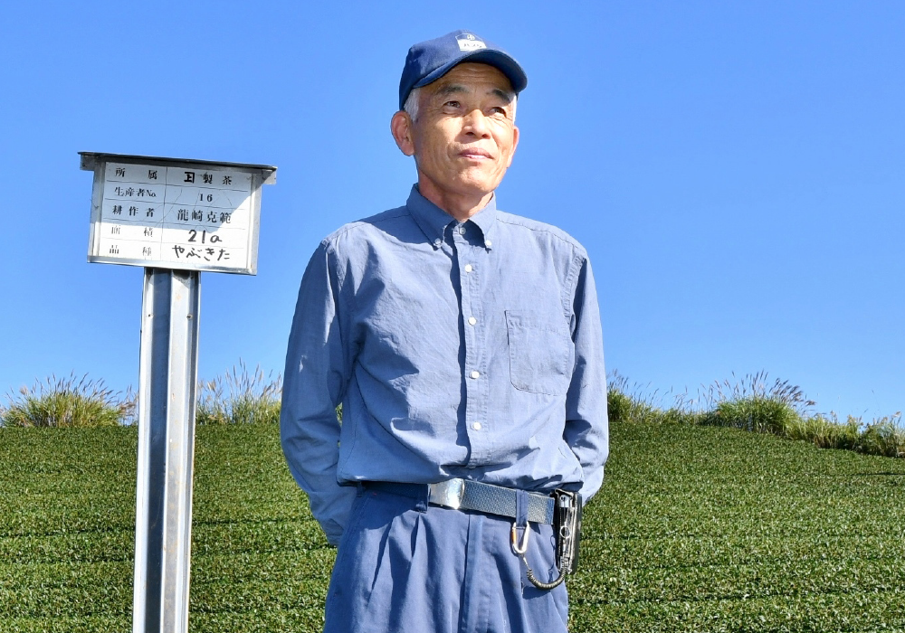 画像：佐々木製茶の茶業研究部員