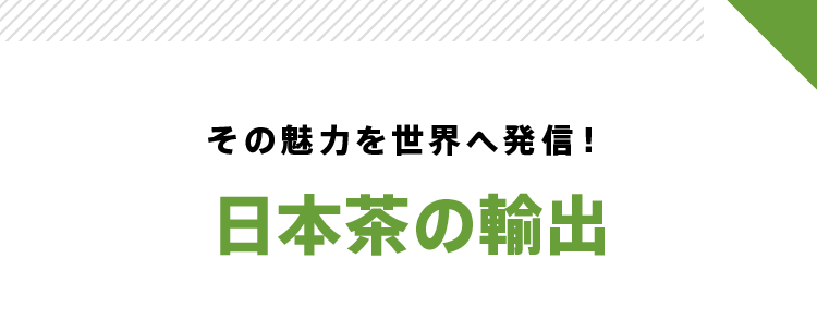 その魅力を世界へ発信！日本茶の輸出