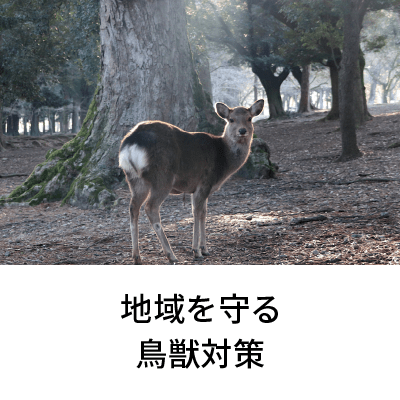 2022年1月号 地域を守る鳥獣対策