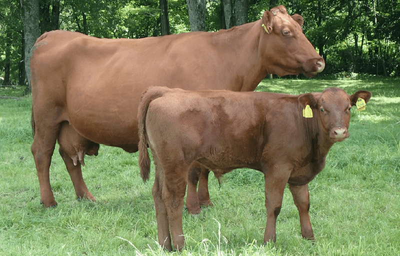 大学連載01画像