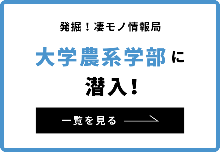 大学連載 一覧を見る