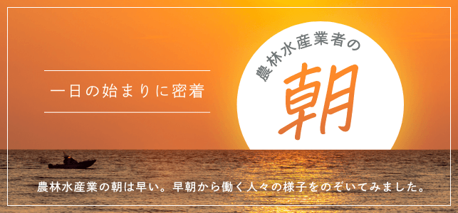 農林水産業者の朝