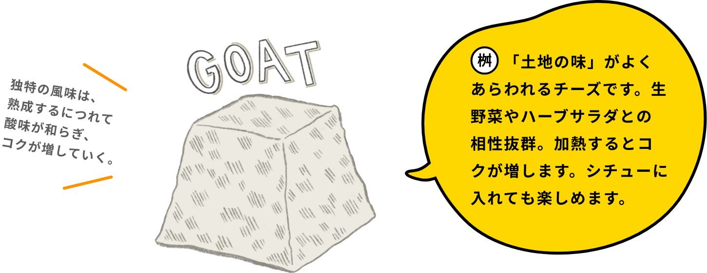 「土地の味」がよくあらわれるチーズです。生野菜やハーブサラダとの相性抜群。加熱するとコクが増します。シチューに入れても楽しめます。